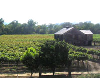 DB Barn