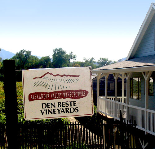 DB Vineyard